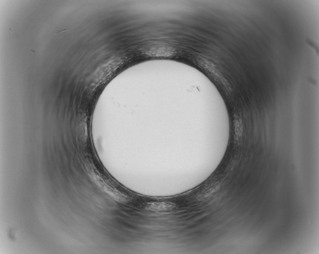 X0000102470541200808291607