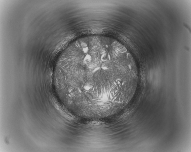 X0000102470542200808291607