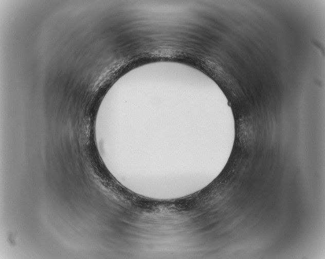 X0000102470544200808291607