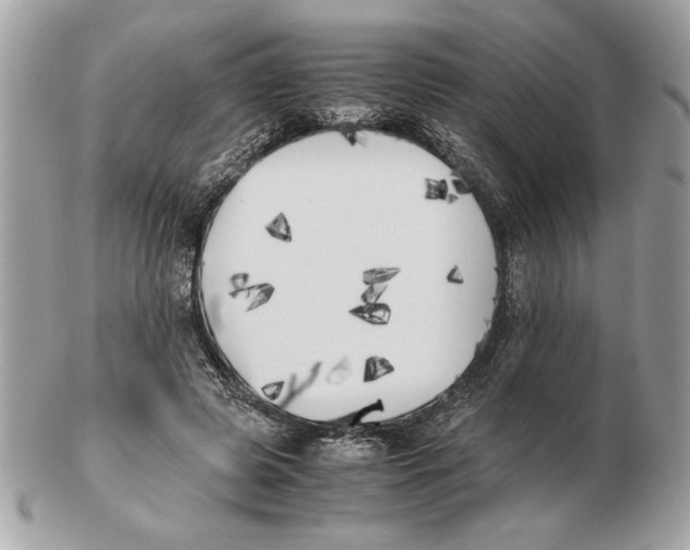 X0000102470545200808291607
