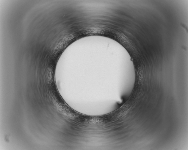 X0000102470546200808291607