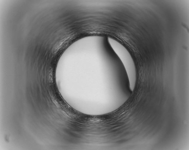 X0000102470547200808291607