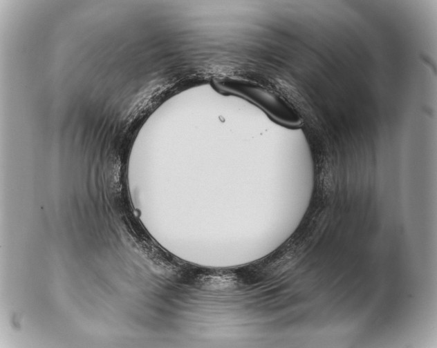 X0000102470548200808291607