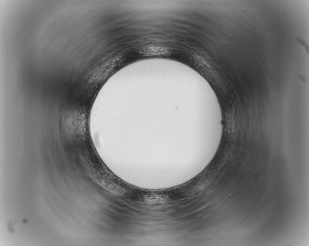 X0000102470549200808291607