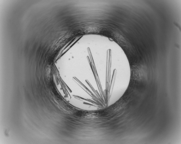 X0000102470550200808291607