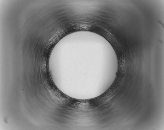X0000102470552200808291607