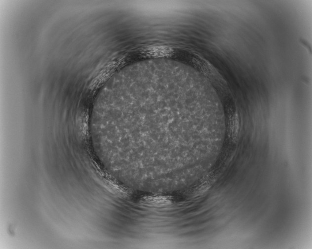 X0000102470553200808291607