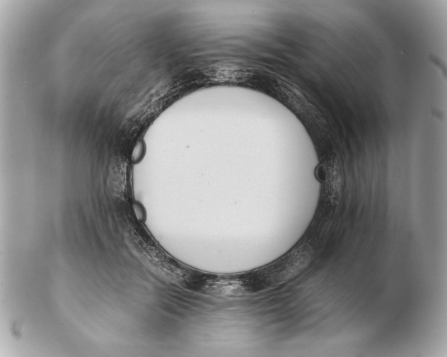 X0000102470554200808291607