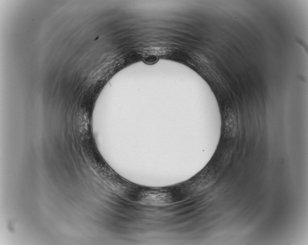 X0000102470555200808291607