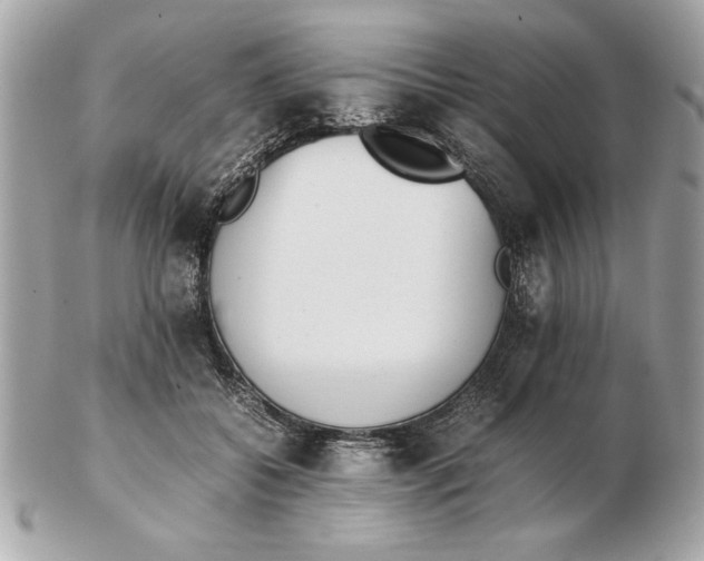 X0000102470556200808291607