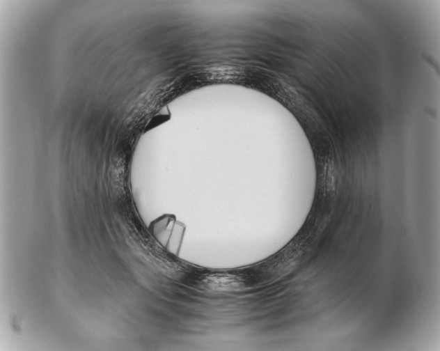 X0000102470557200808291607