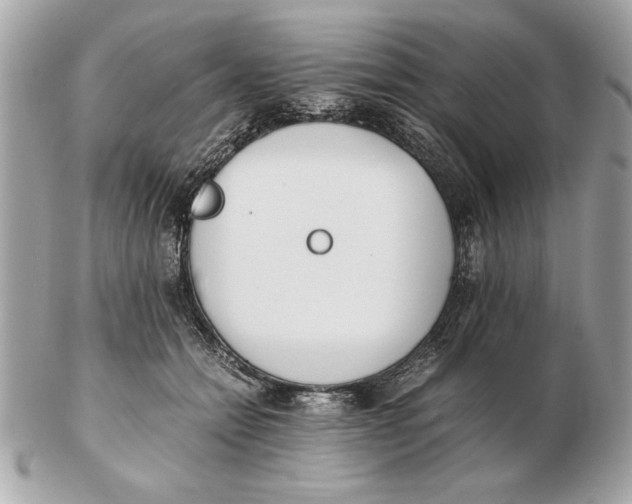 X0000102470558200808291607