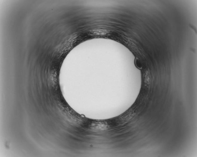 X0000102470559200808291607