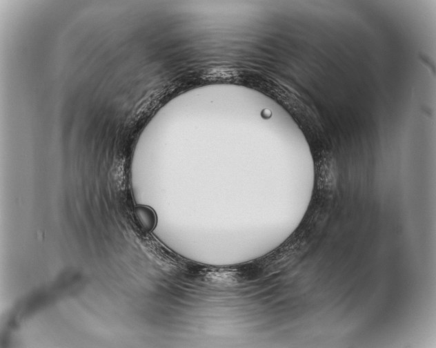 X0000102470560200808291607