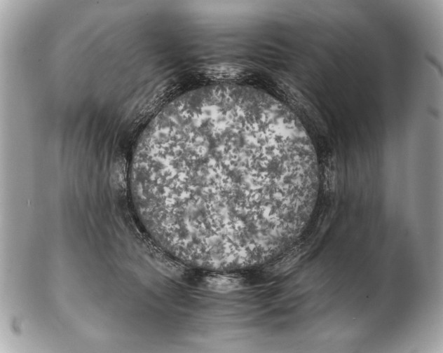 X0000102470561200808291607