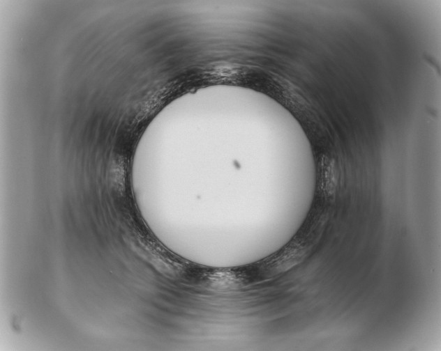 X0000102470562200808291607