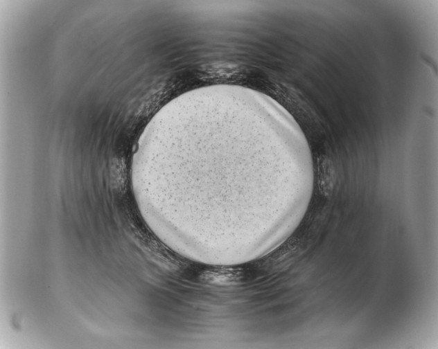 X0000102470563200808291607