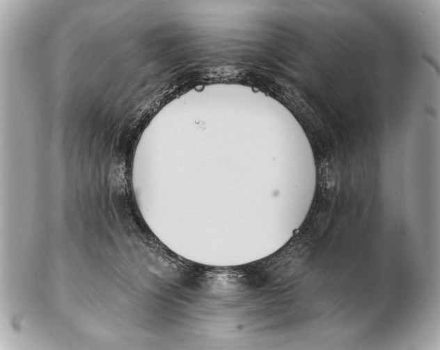 X0000102470564200808291607