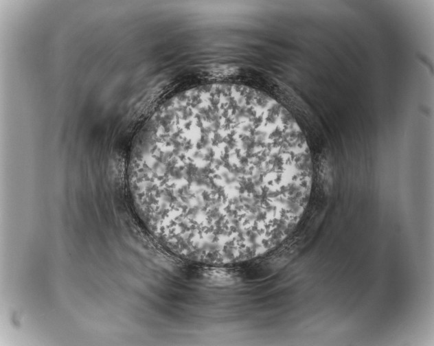 X0000102470565200808291607