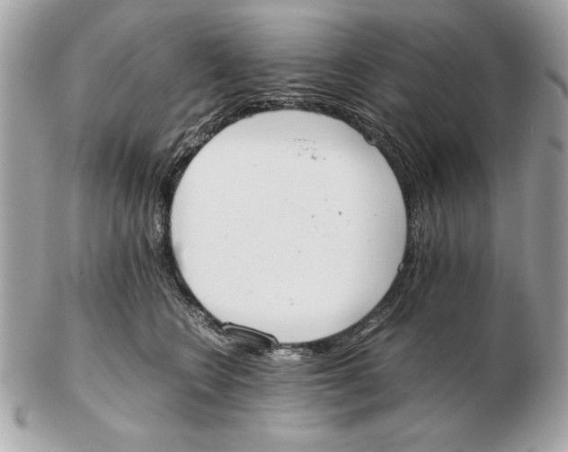 X0000102470566200808291607