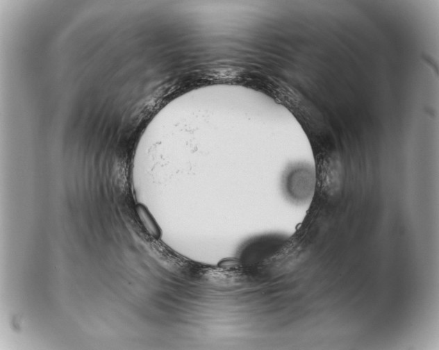 X0000102470568200808291607