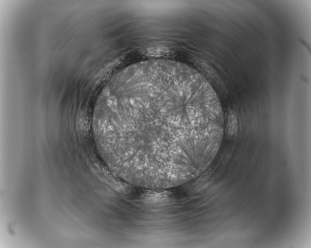X0000102470569200808291607
