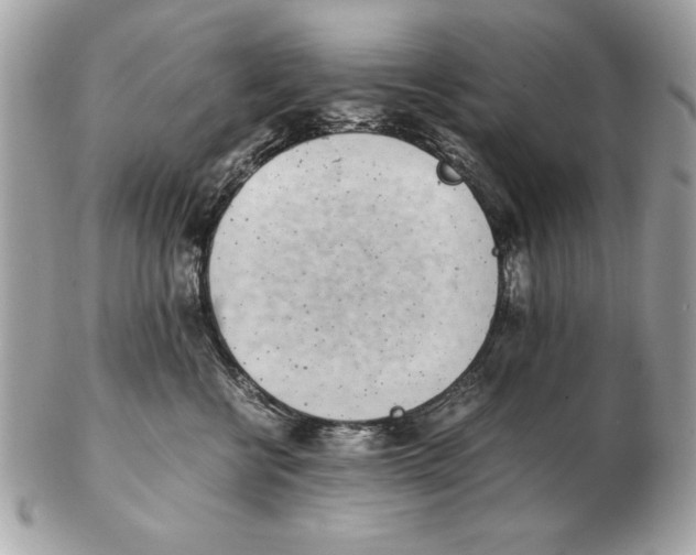 X0000102470570200808291607