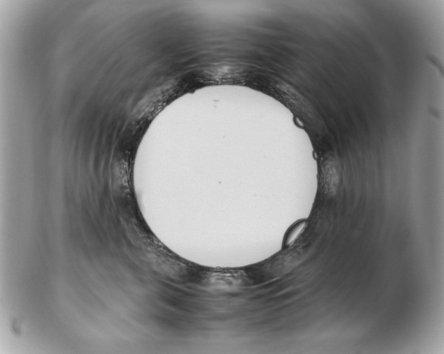 X0000102470571200808291607