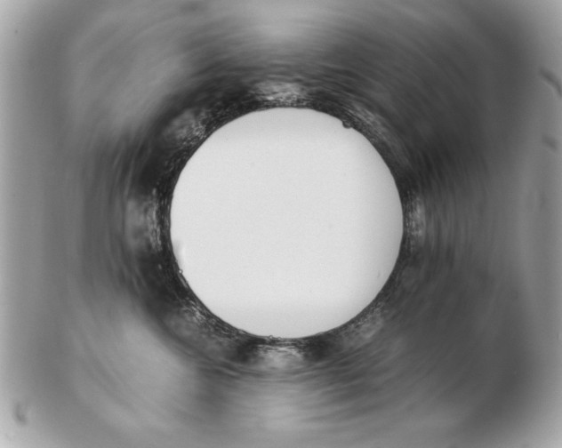 X0000102470572200808291607