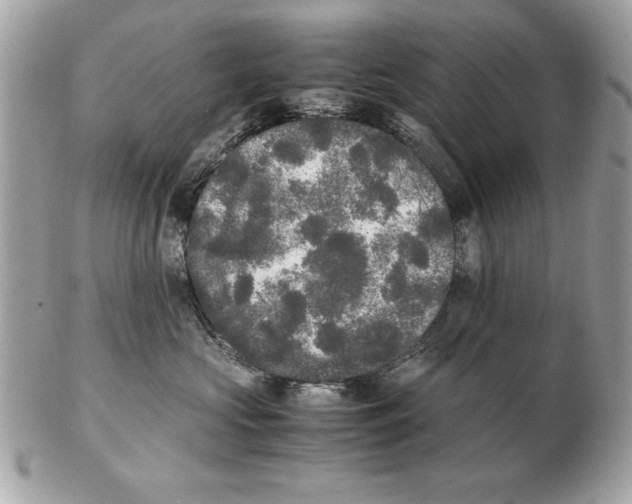 X0000102470573200808291607