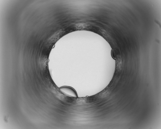 X0000102470574200808291607