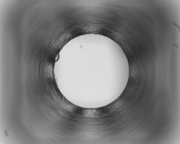 X0000102470575200808291607
