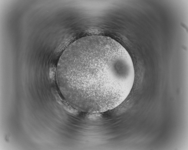 X0000102470576200808291607