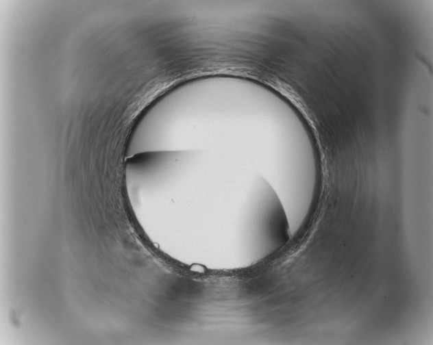 X0000102470577200808291606