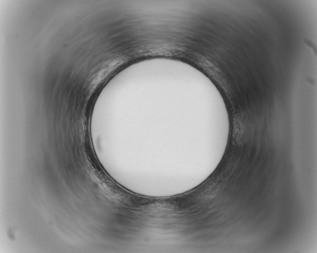 X0000102470578200808291606