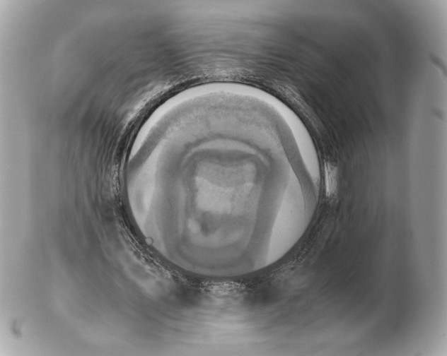 X0000102470579200808291606