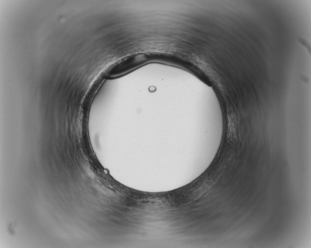 X0000102470580200808291606