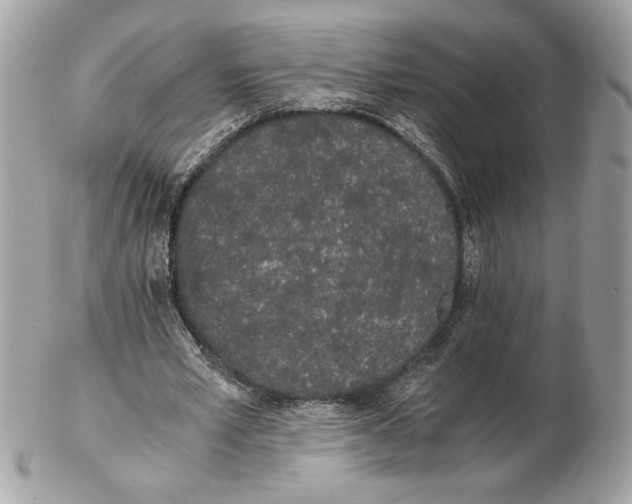 X0000102470581200808291606