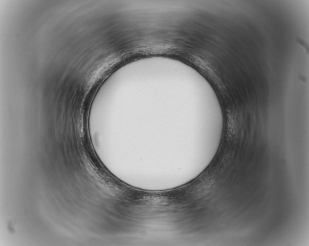 X0000102470582200808291606