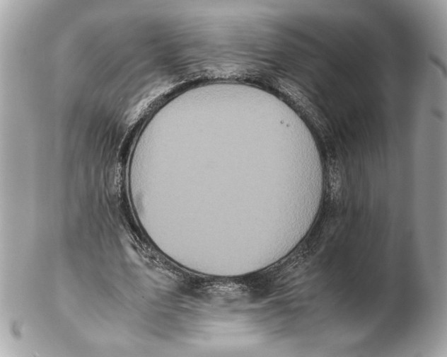 X0000102470583200808291606