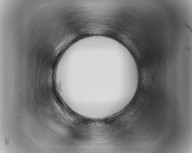 X0000102470586200808291606