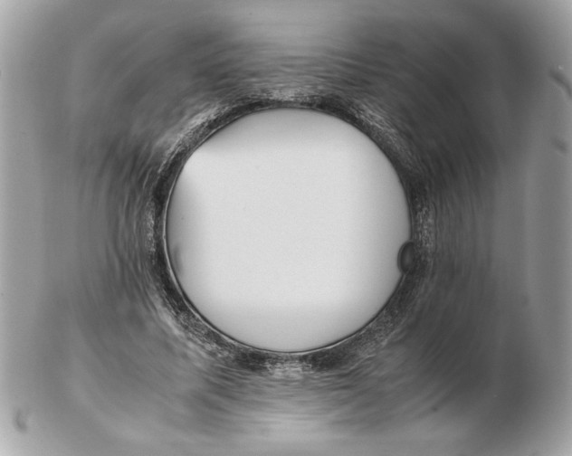 X0000102470587200808291606