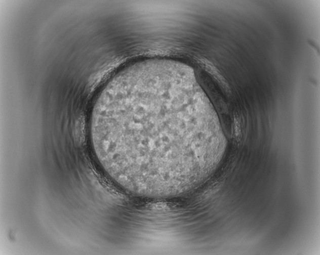 X0000102470588200808291606