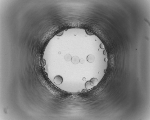 X0000102470589200808291606