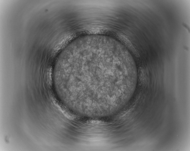 X0000102470590200808291606
