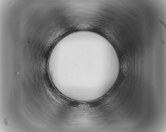 X0000102470591200808291606