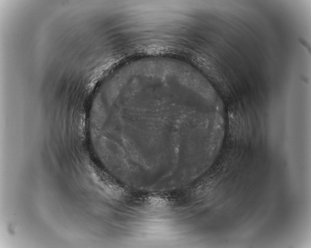 X0000102470592200808291606