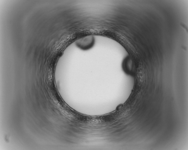 X0000102470593200808291606