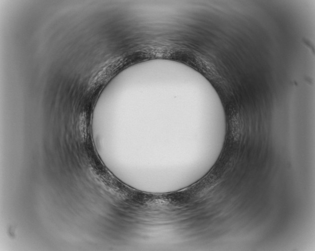 X0000102470594200808291606