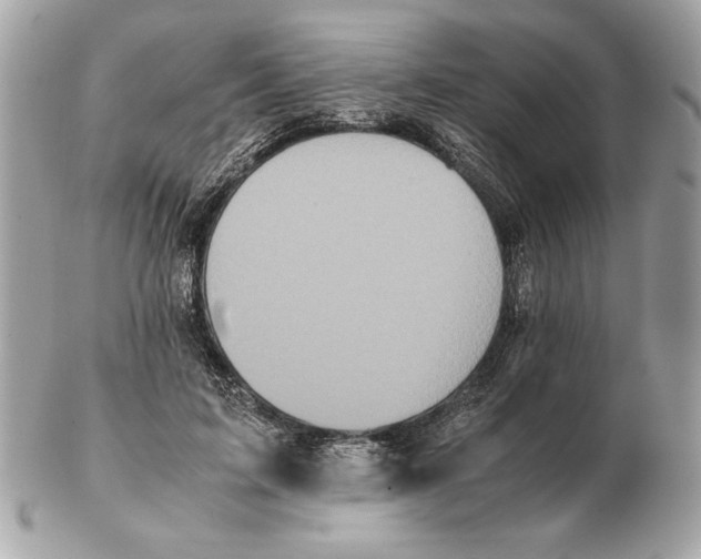 X0000102470595200808291606